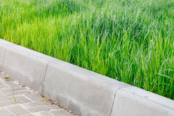 Concrete Curb Repair in Terre Haute
