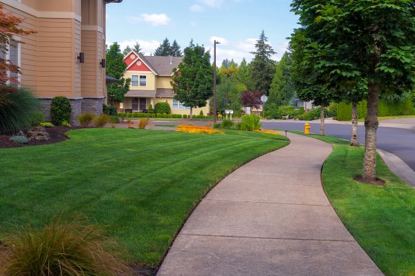 Sidewalk Patching in Terre Haute
